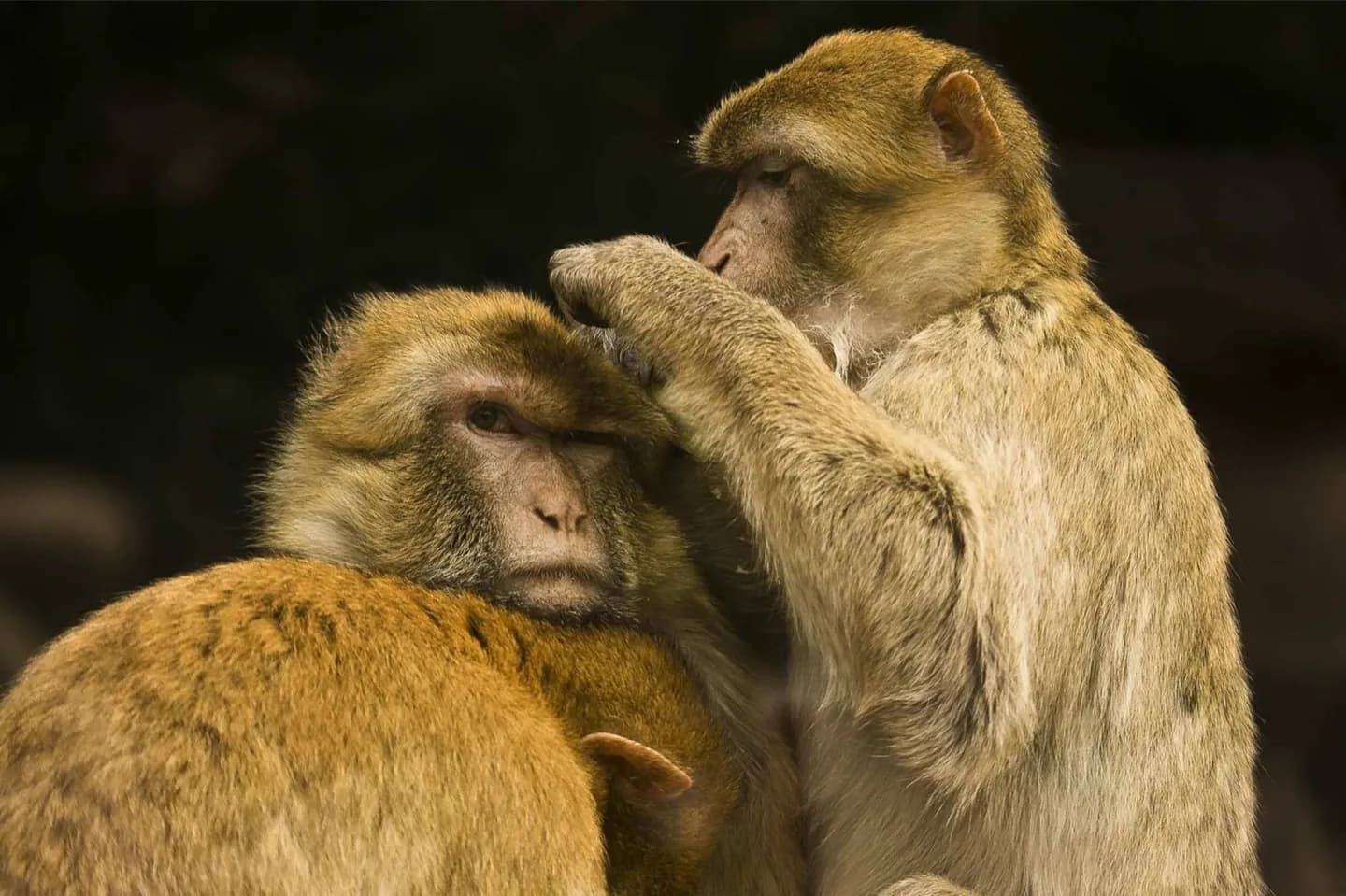 Bratislava Zoo · 2
