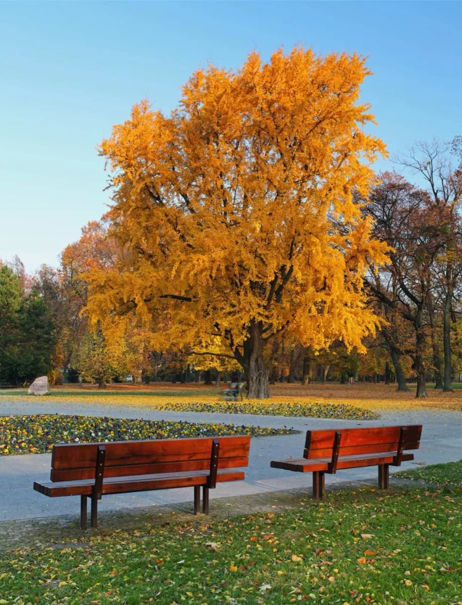 Parco forestale di Bratislava · 2