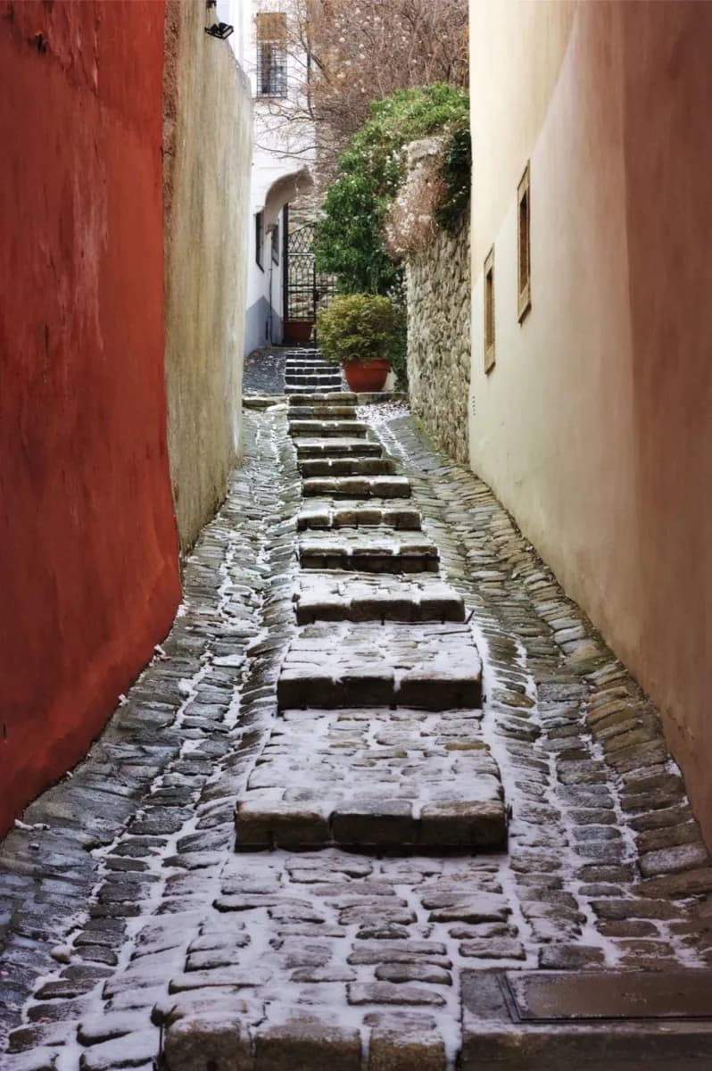 Altstadt · 2