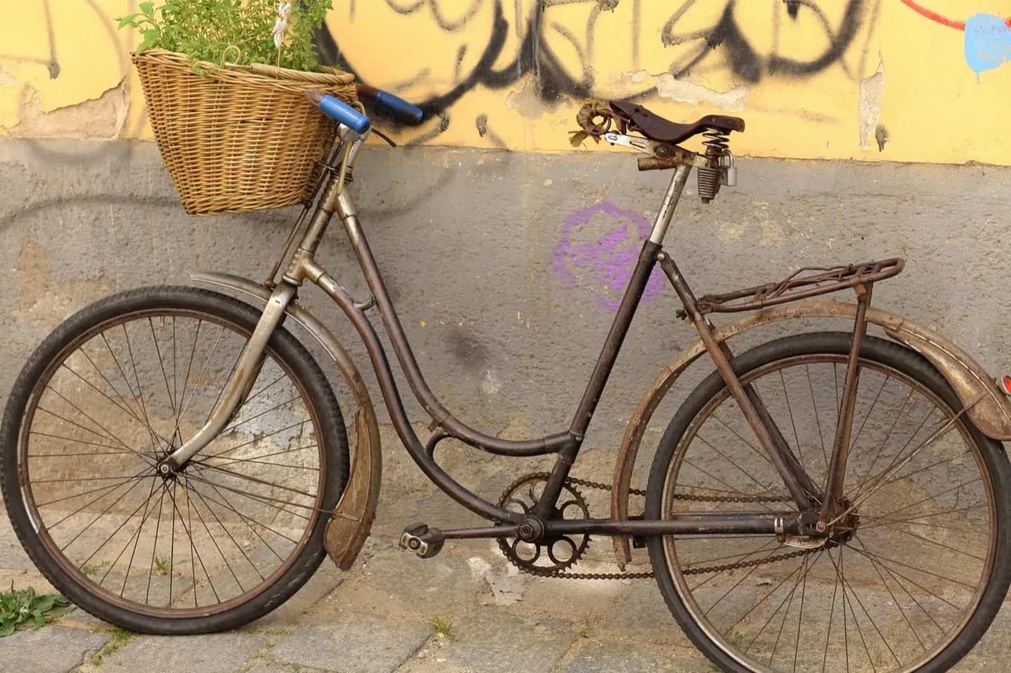 Cycling in Bratislava