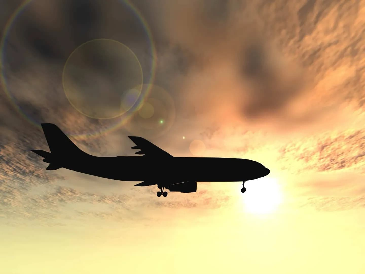 Arriving by Air · 2