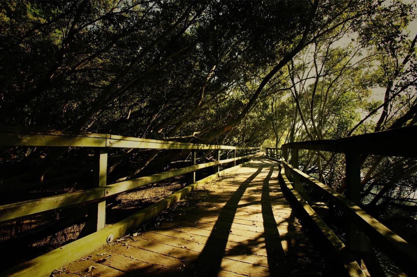 D’Aguilar National Park