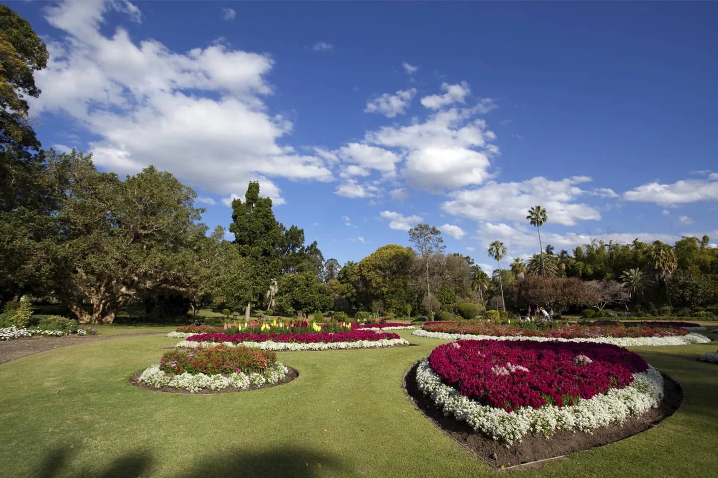 Jardines Botánicos de la Ciudad · 2