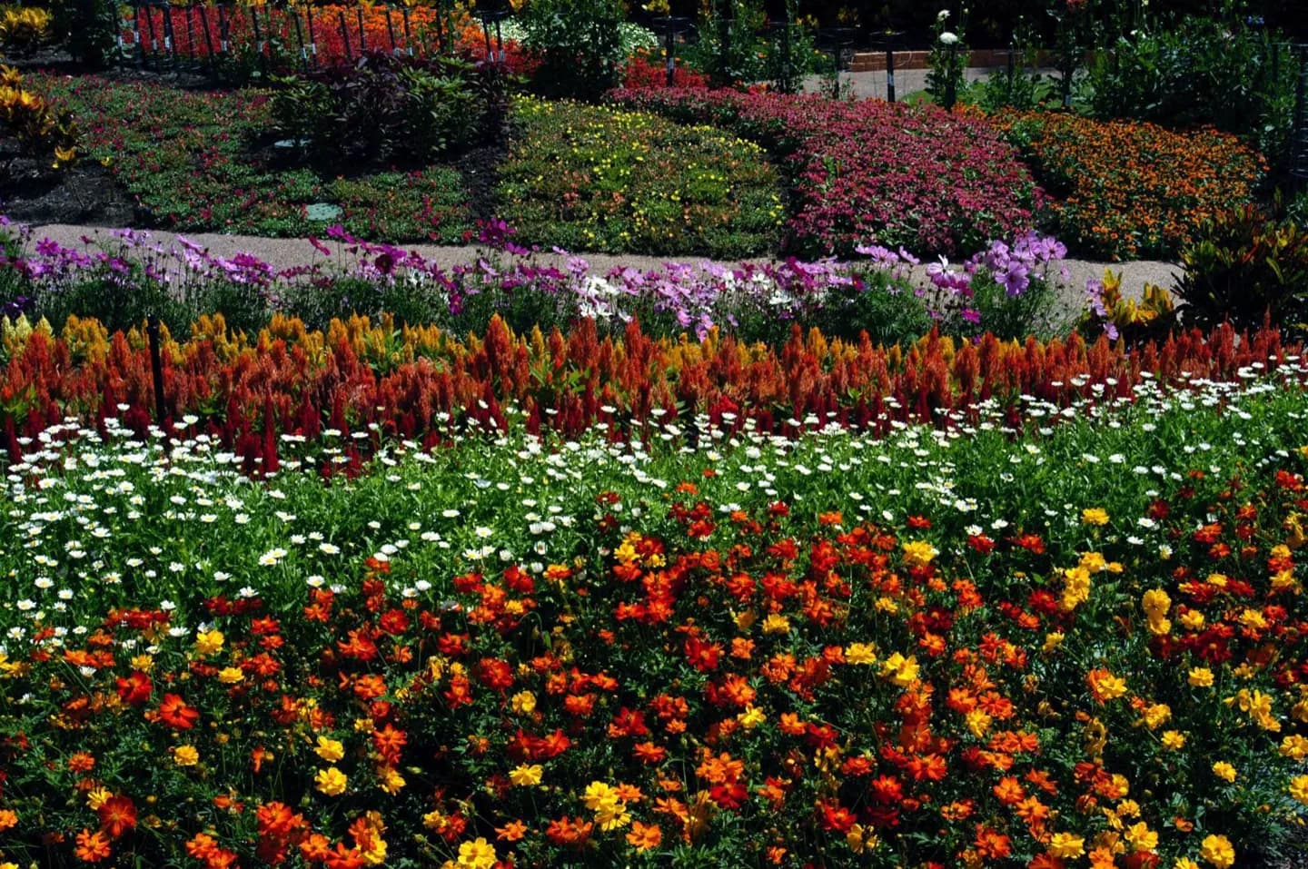 Roma Street Parkland