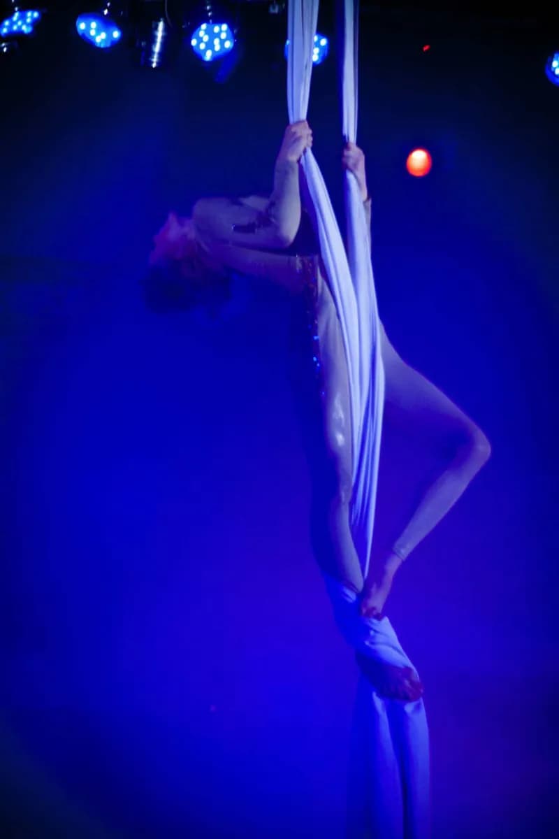Bristol Old Vic · 2