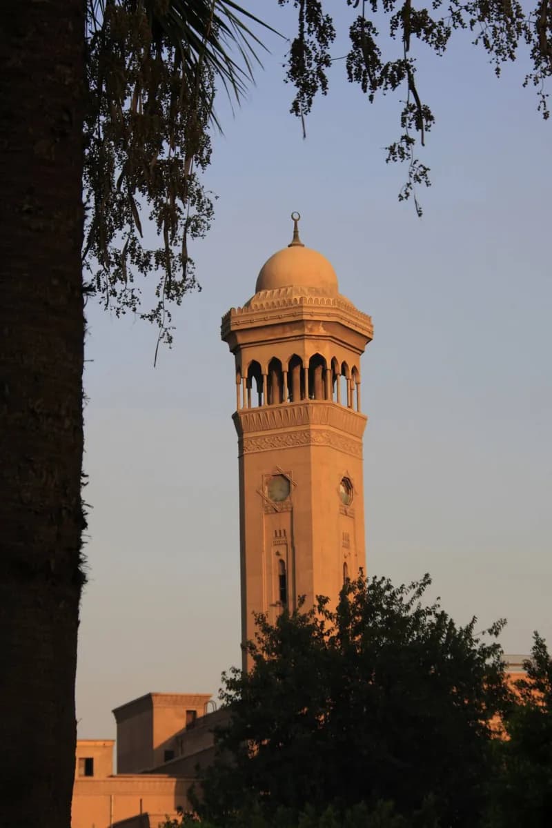 Cairo University · 2