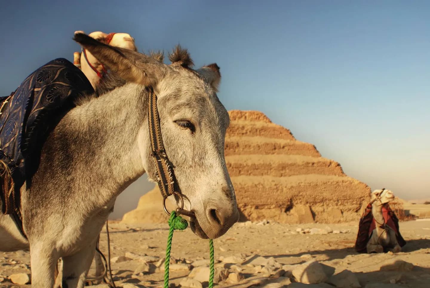 Saqqara: pirámides y tumbas antiguas · 2