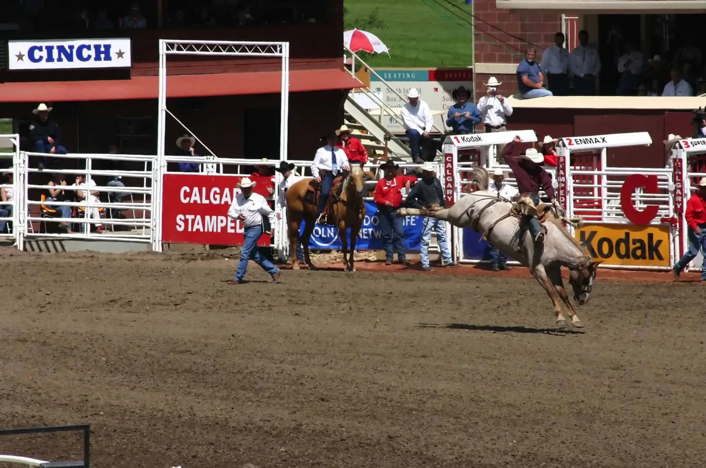 Calgary Stampede