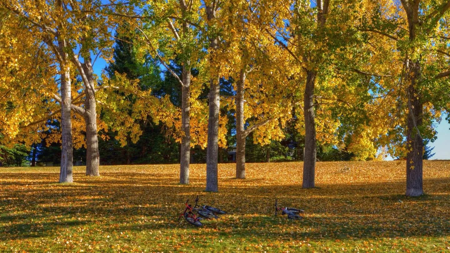 Faire du vélo sur les sentiers fluviaux de Calgary