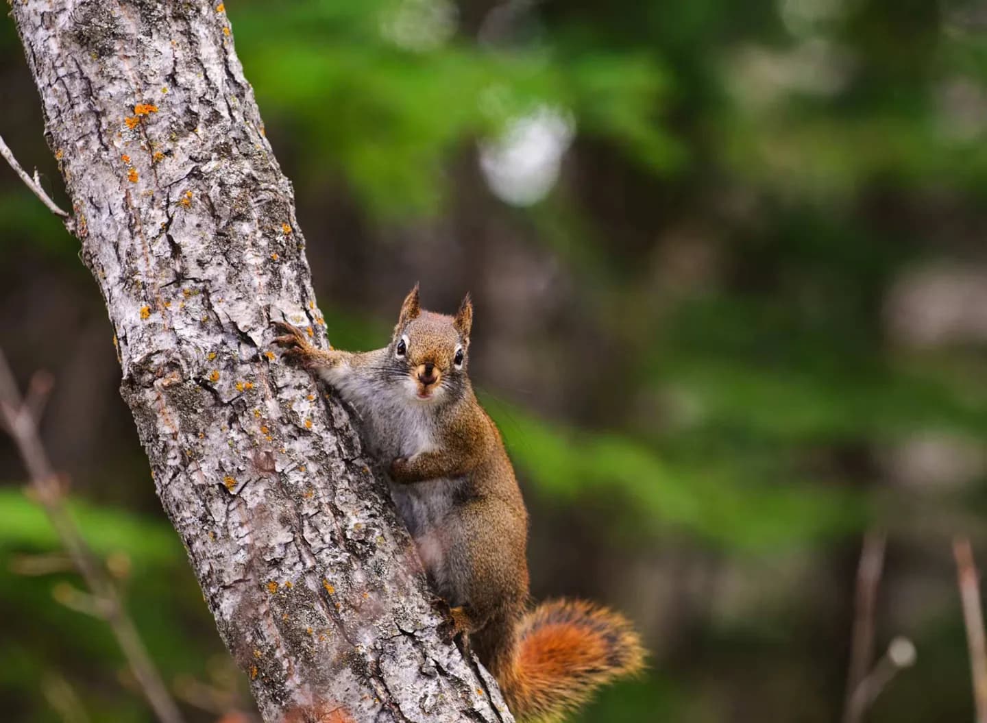 Confederation Park · 2