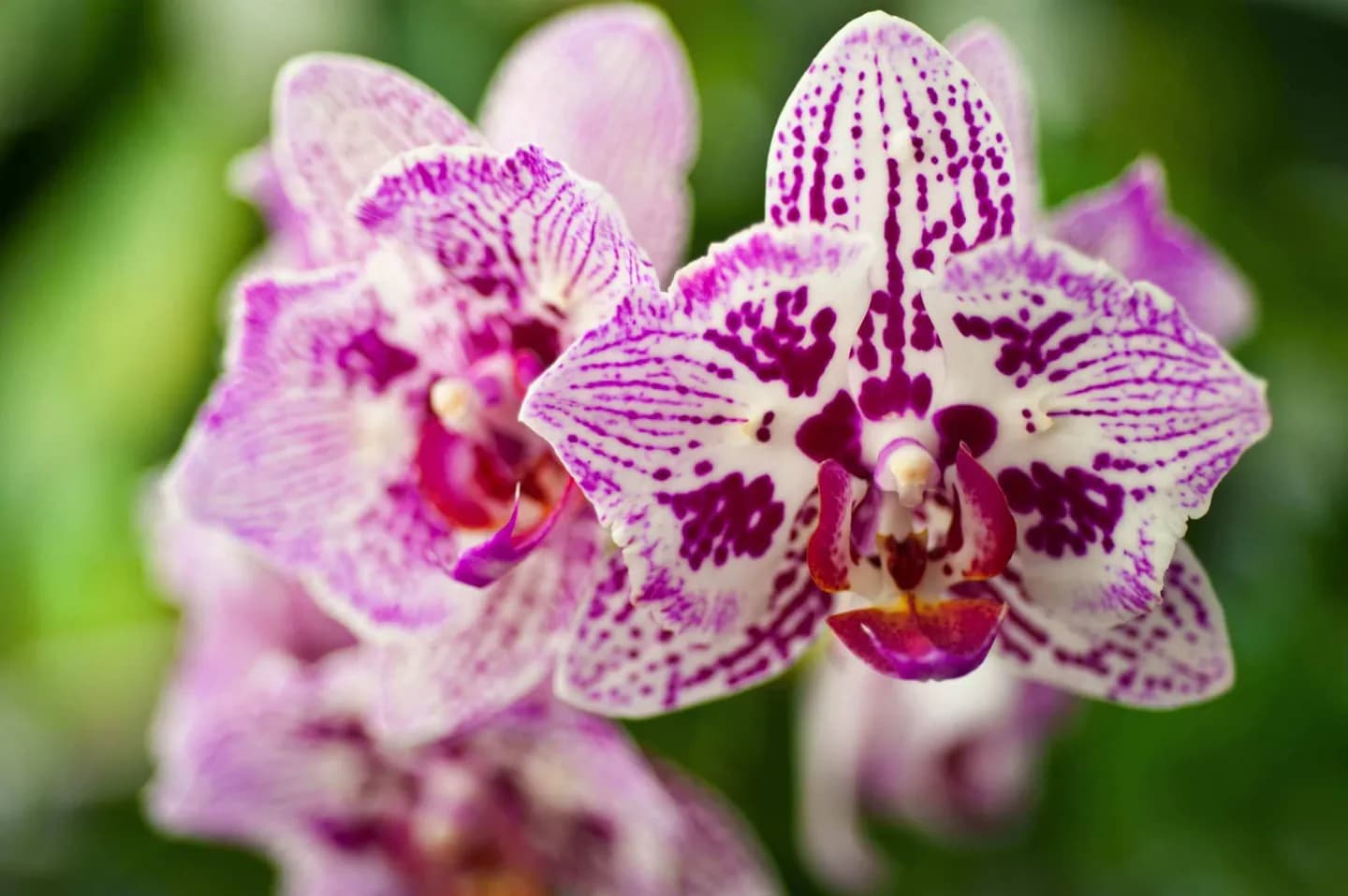 Devonian Gardens · 2