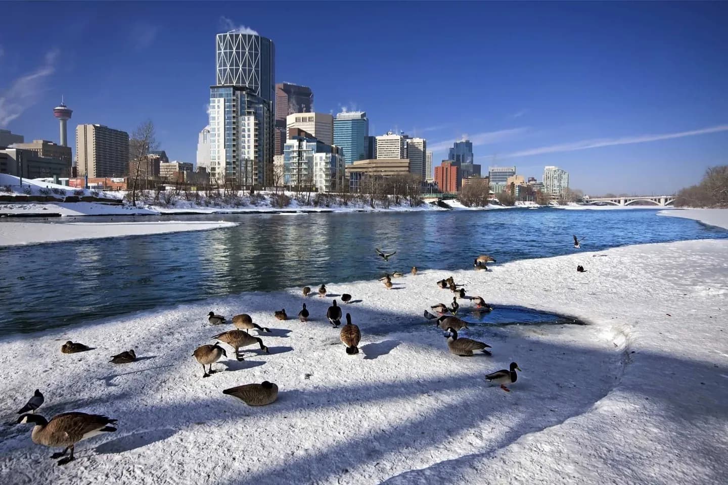 Downtown Calgary