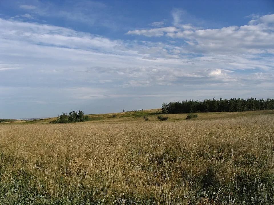Parco Nose Hill