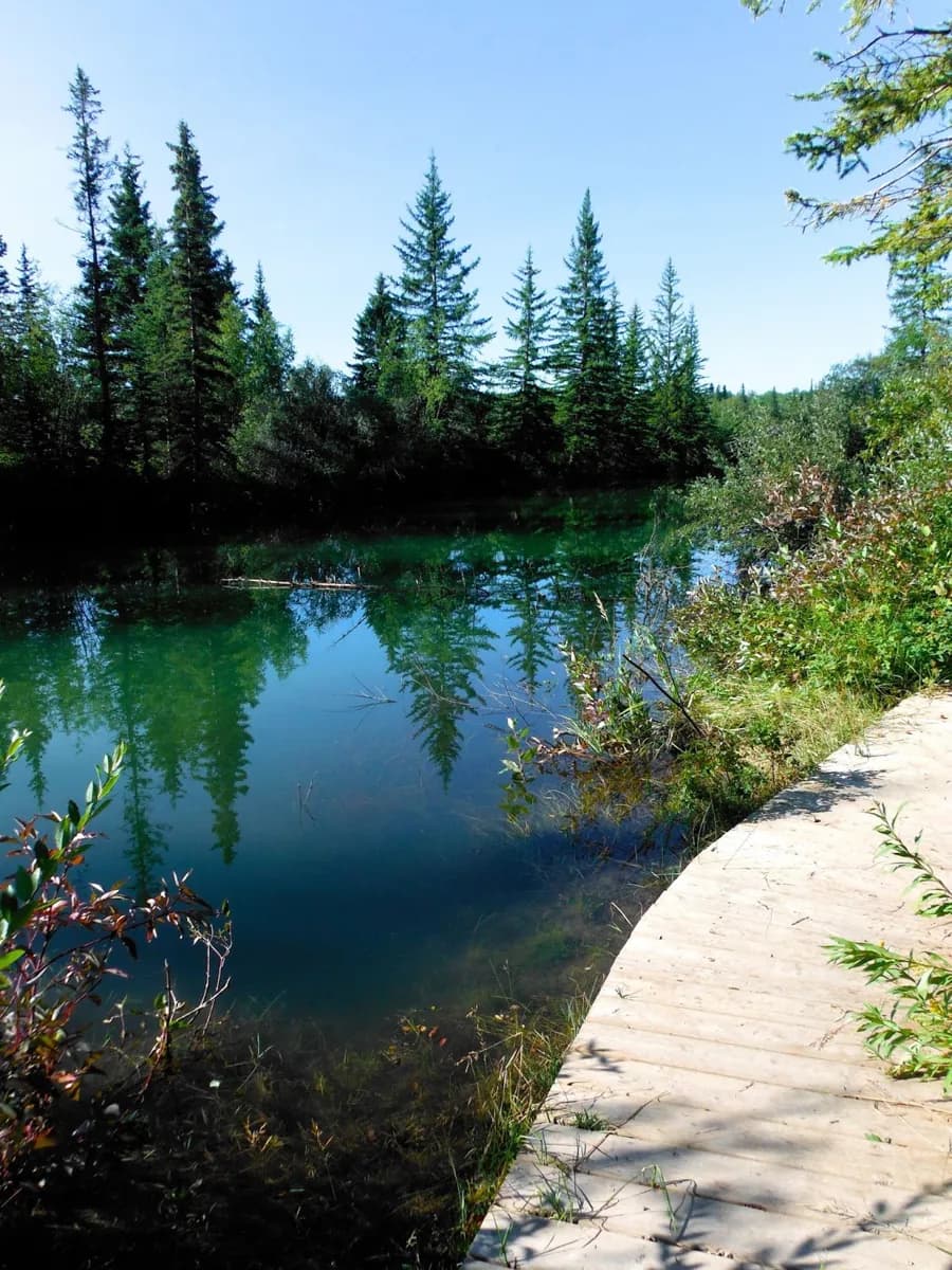 Weaselhead Flats