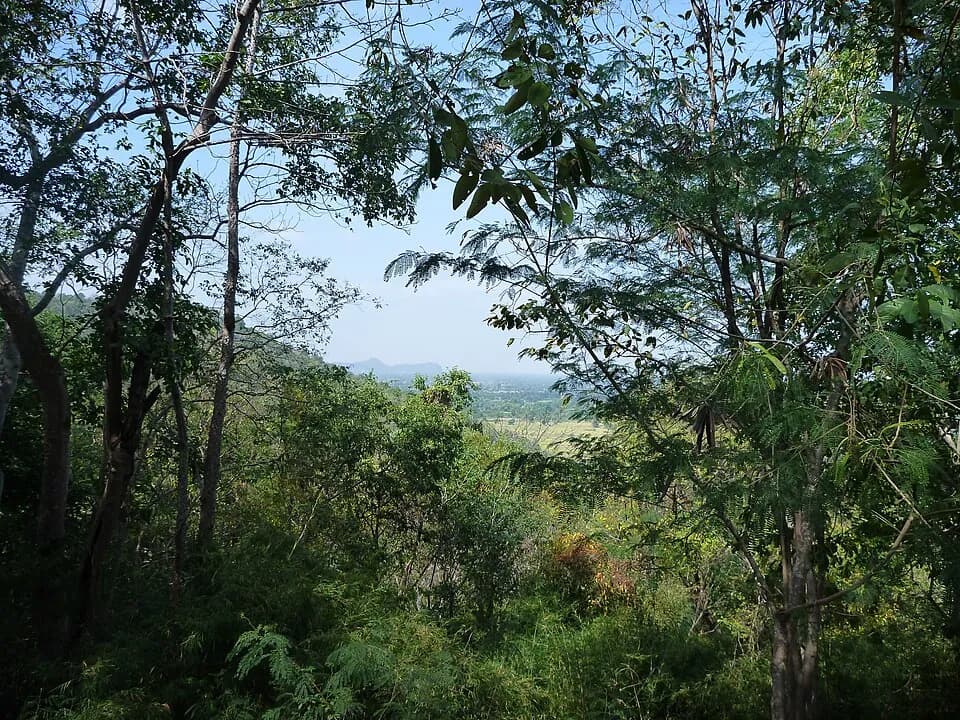 Banan Temple, Bamboo Train and Phnom Sampeau