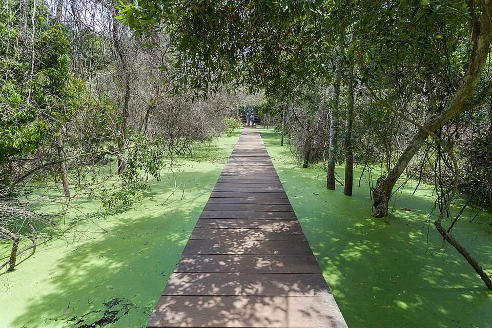 Neak Pean