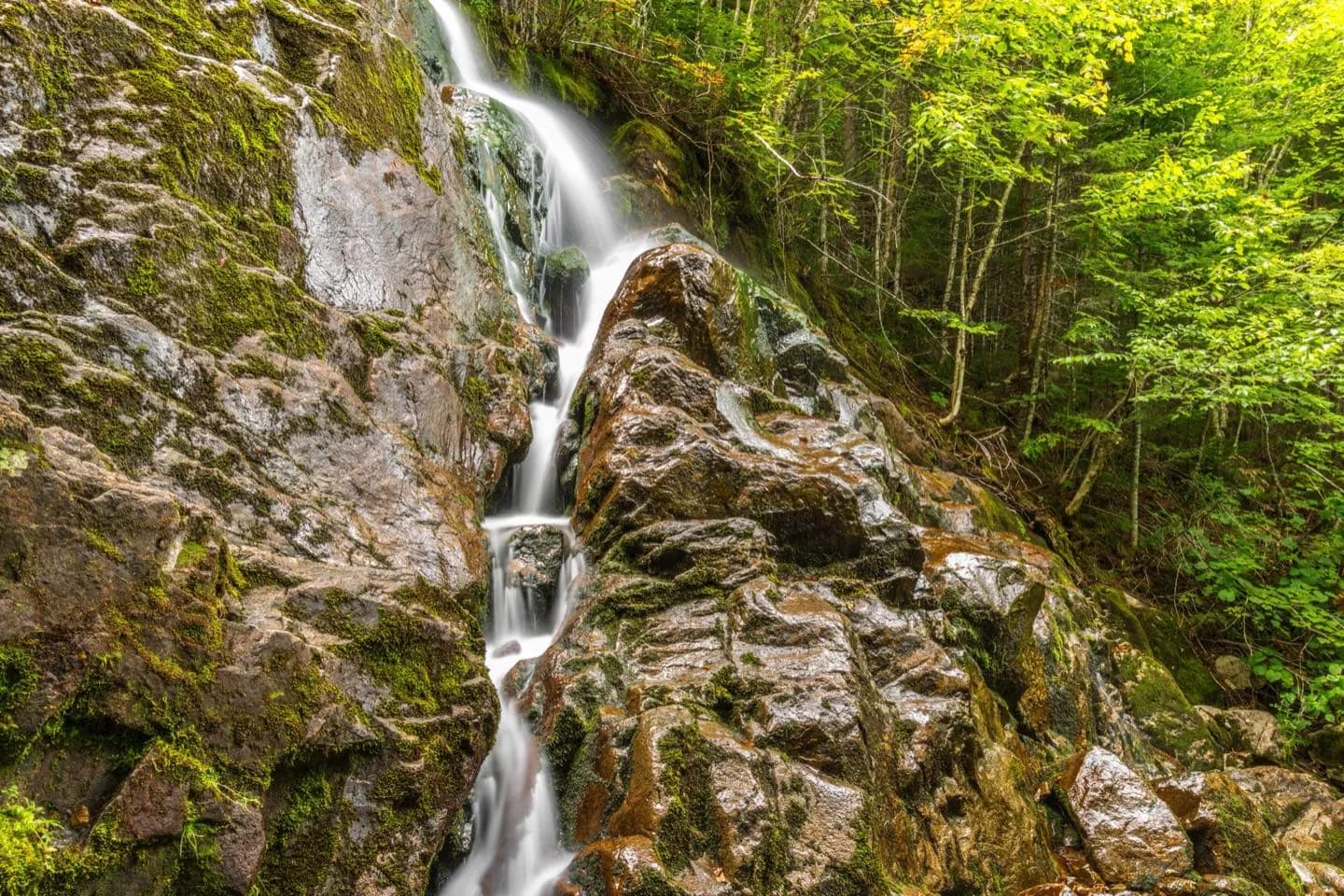 Fundy National Park