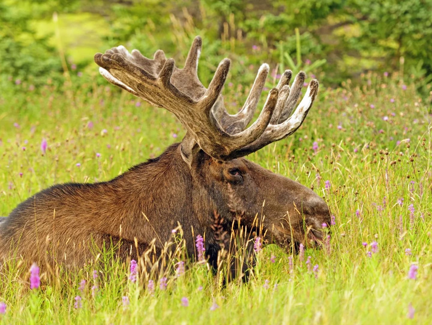 Gros Morne National Park · 2