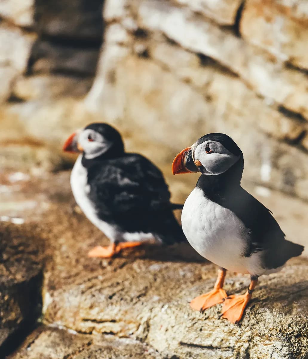 Montreal Biodome