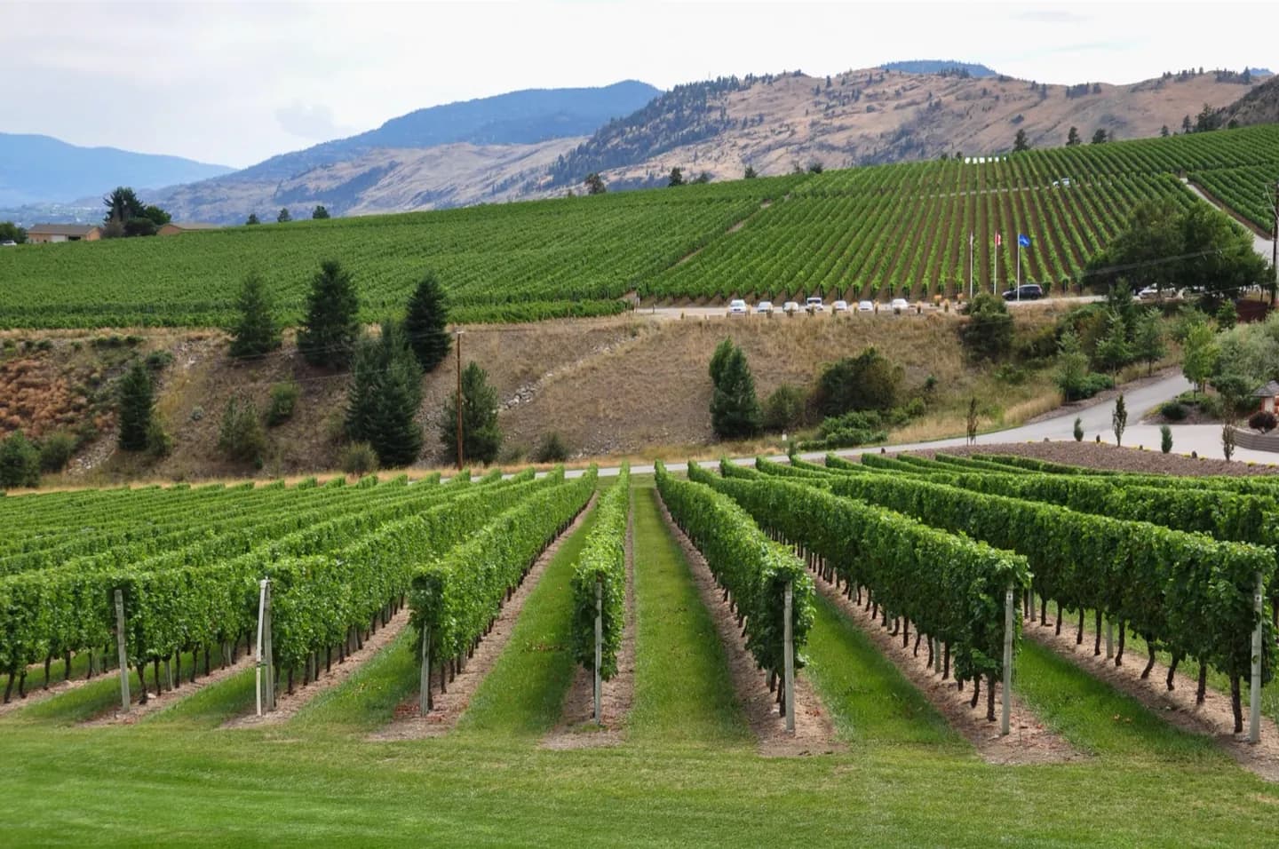 Vale de Okanagan · 2