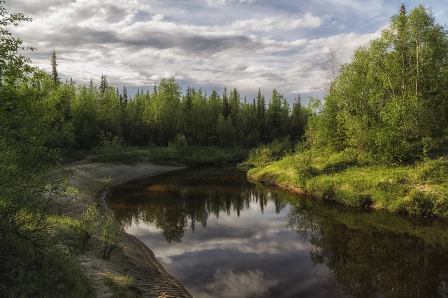 Prince Albert Nationalpark · 2