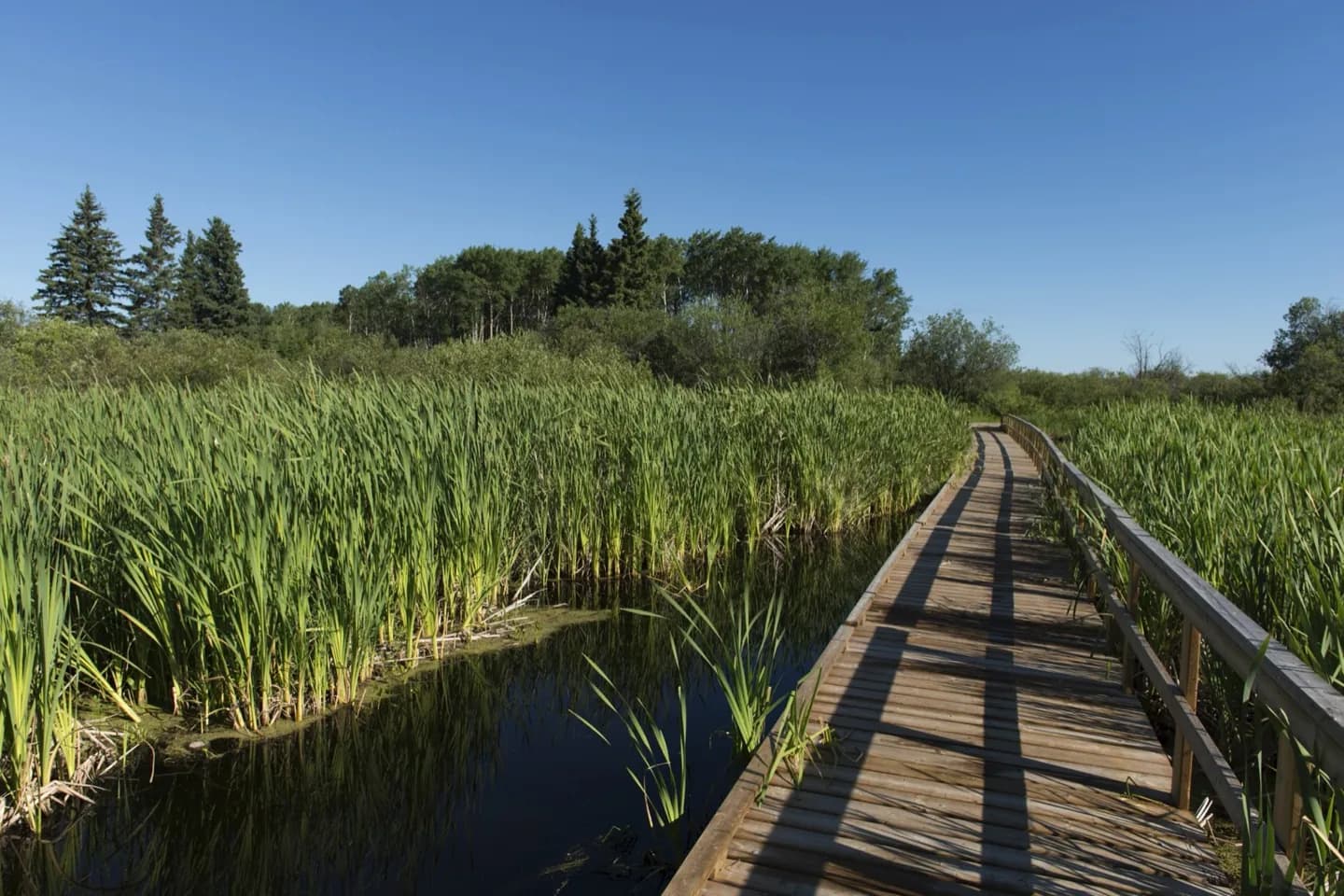 Parc national de Riding Mountain