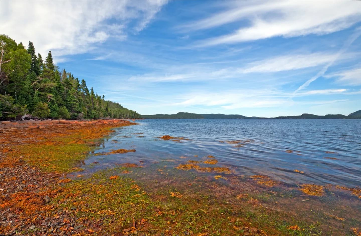 Terra Nova National Park