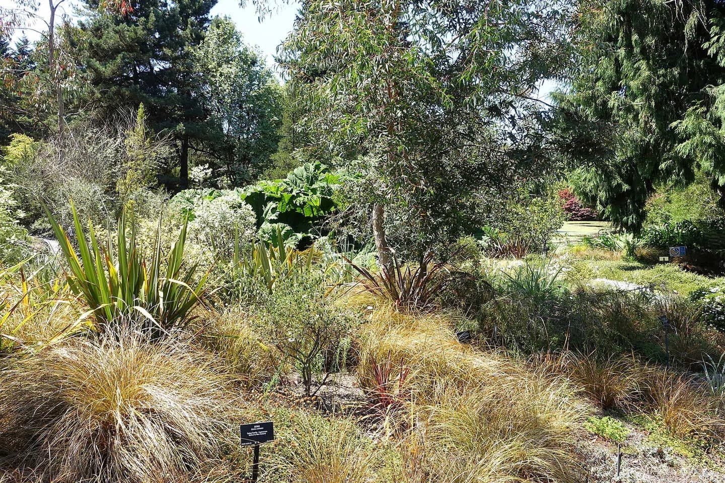 VanDusen Botanical Garden