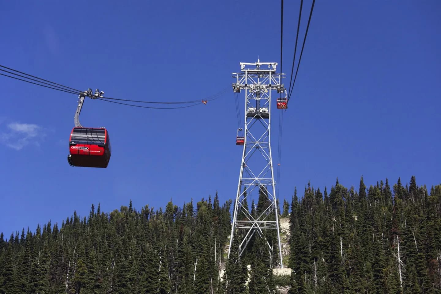 Whistler Blackcomb · 2