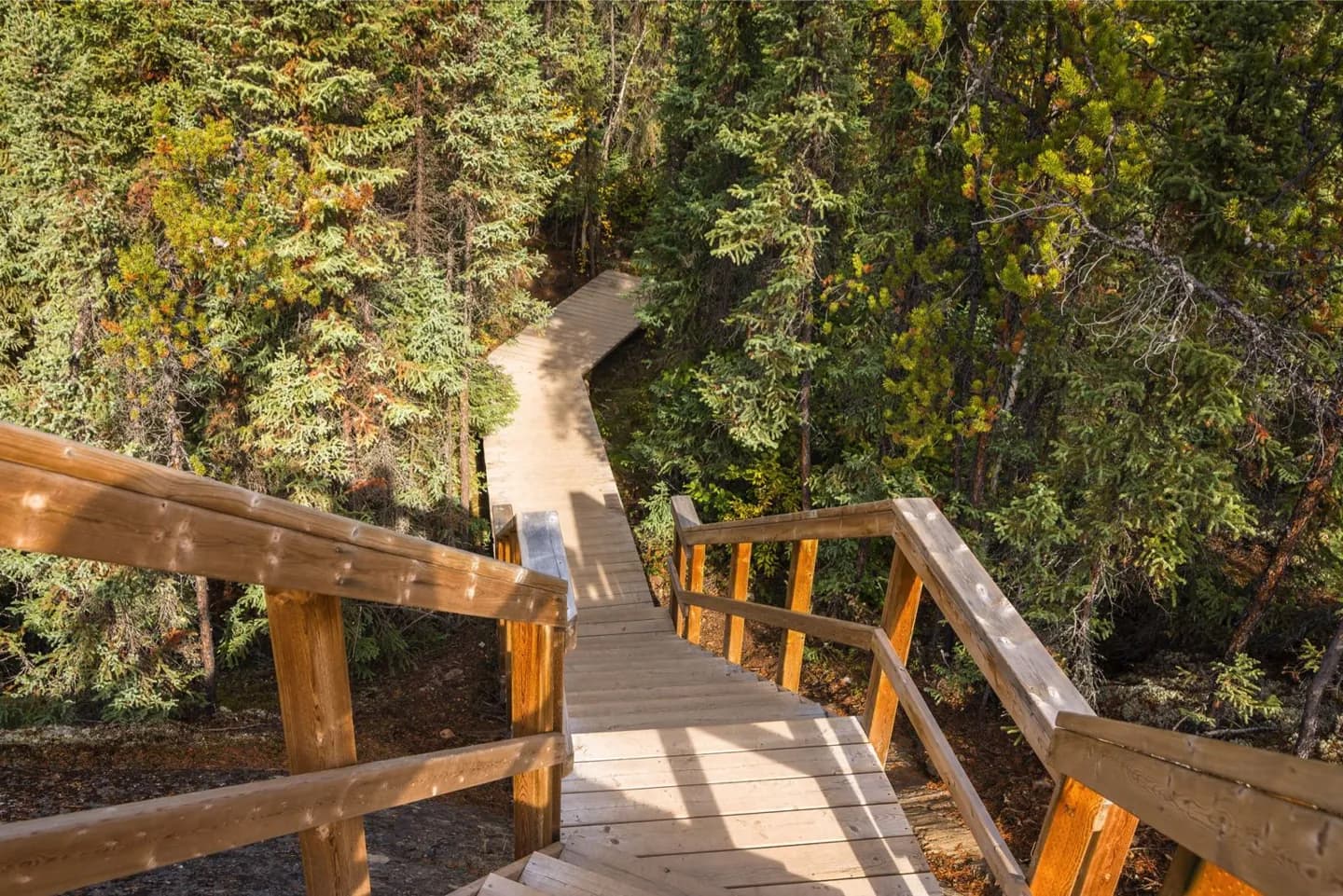 Wood Buffalo National Park