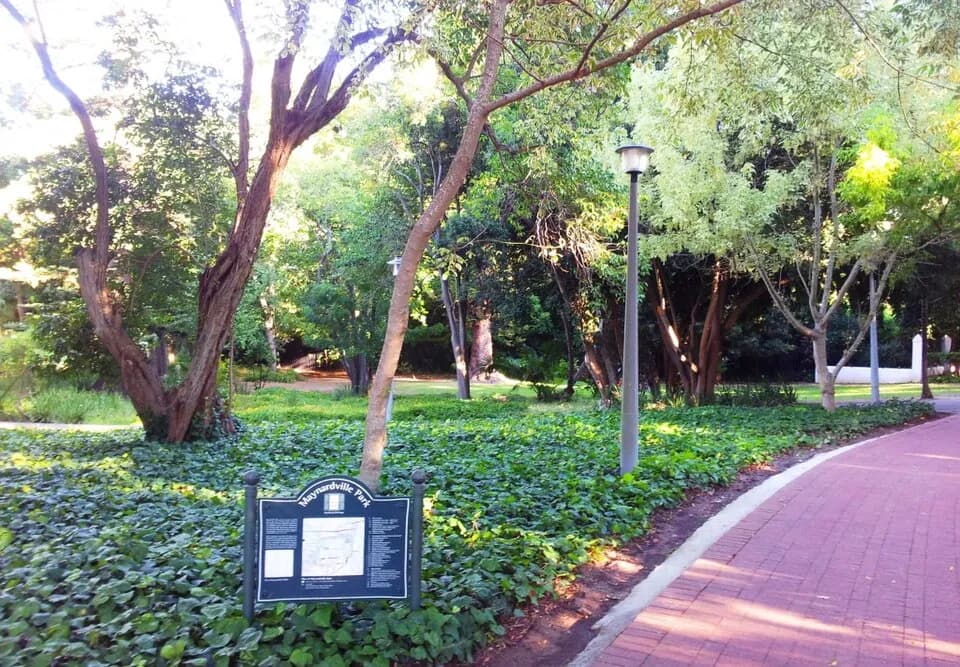 Maynardville Park
