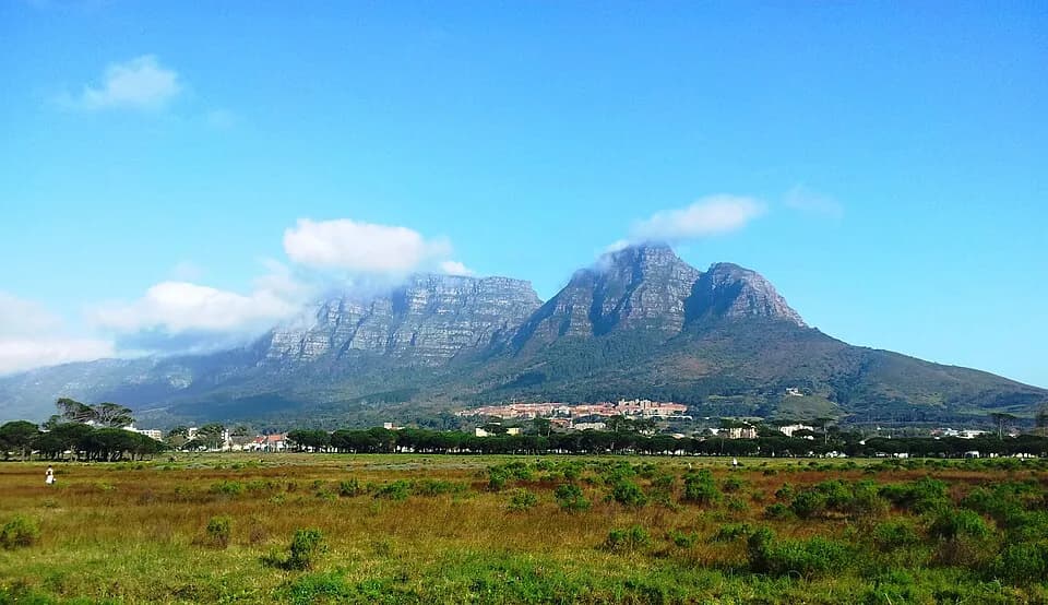 Rondebosch Common