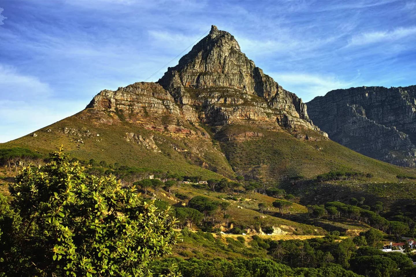 Table Mountain