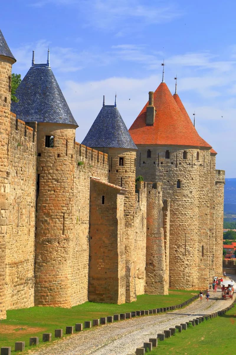 Carcassonne on Screen