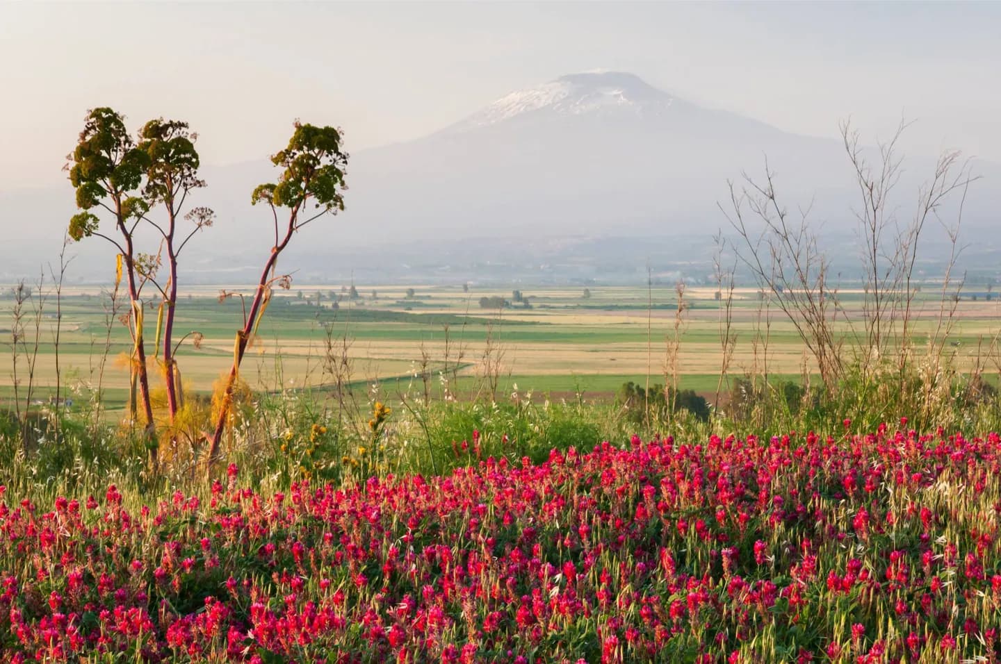 Planning Around Catania’s Climate · 2