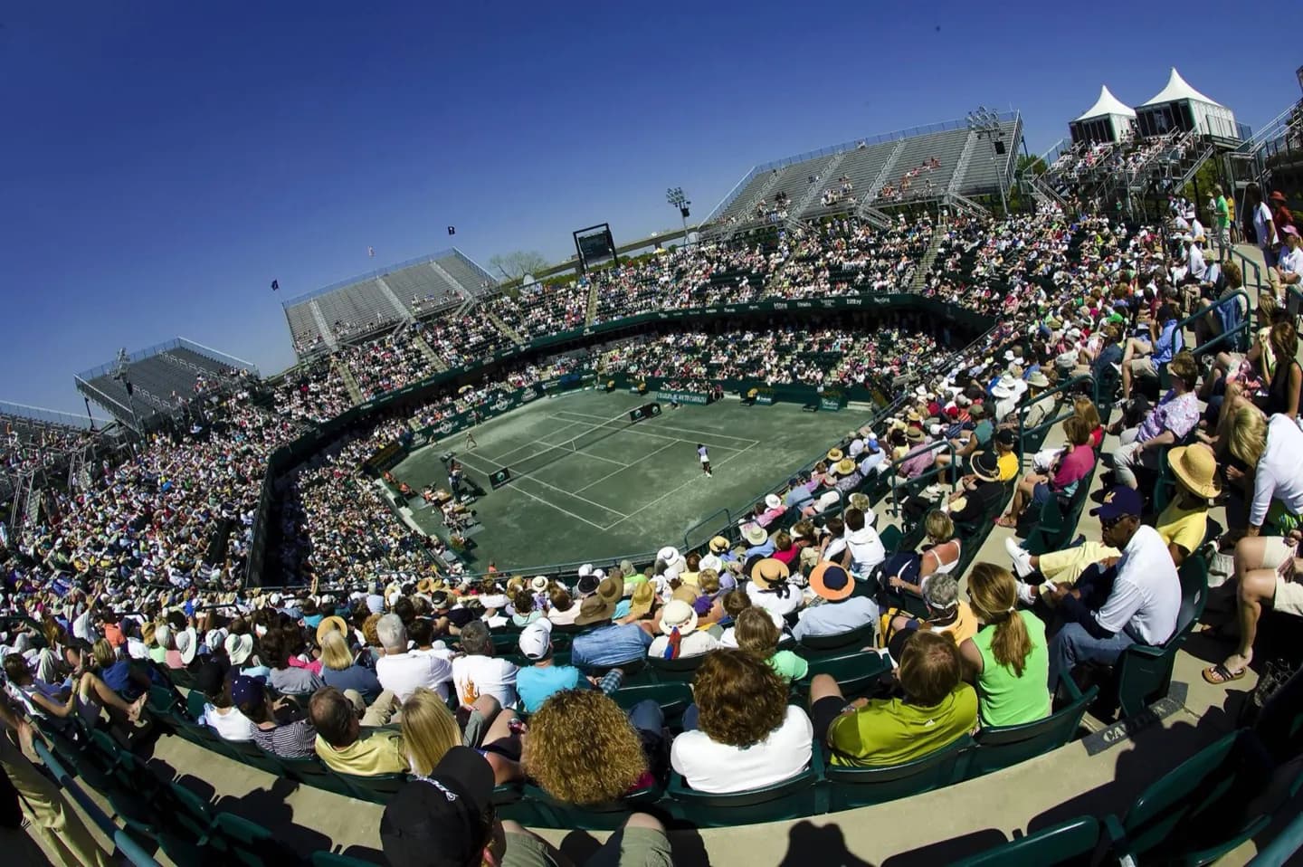 Assistindo Esportes em Charleston
