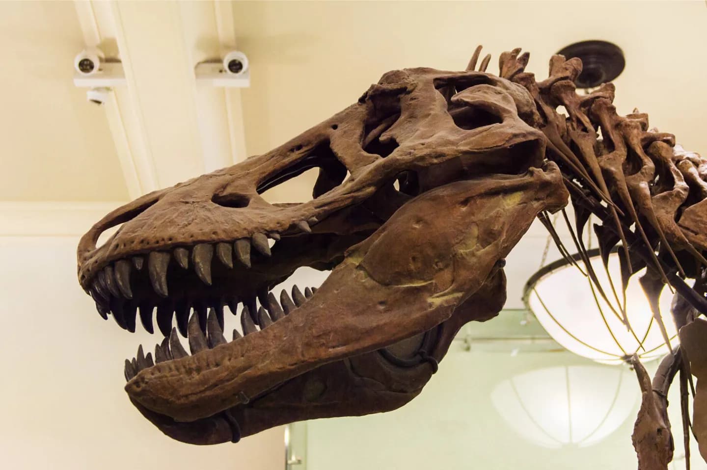 El Museo de Charleston · 2