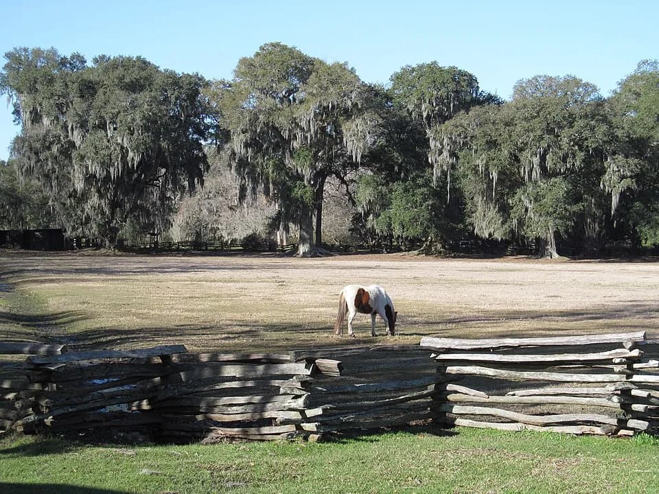 Magnolia Plantation & Gardens