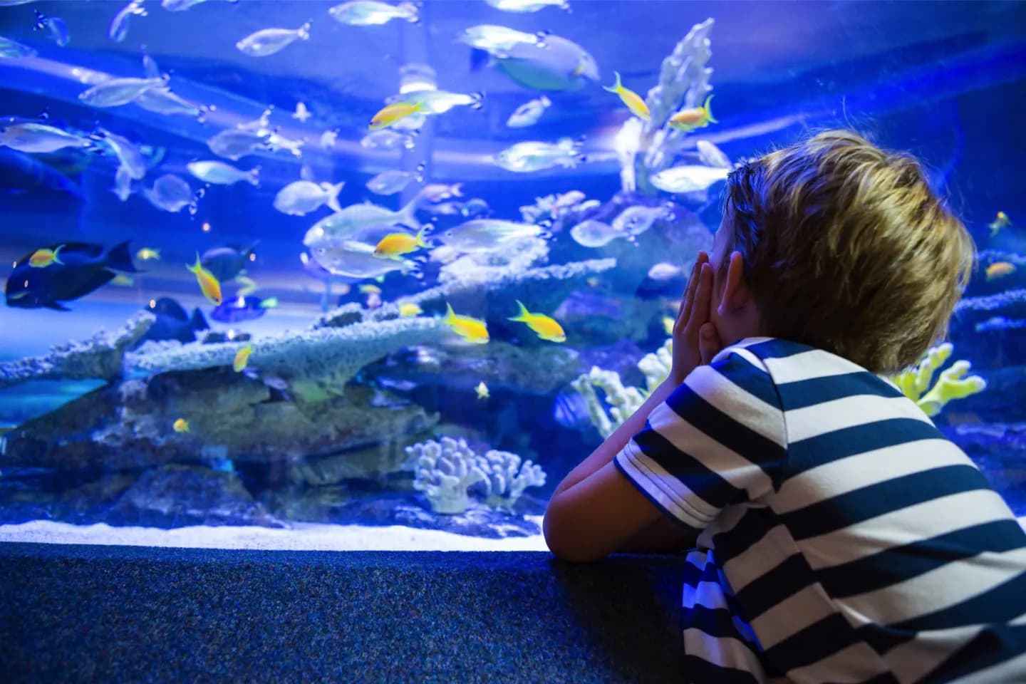 South Carolina Aquarium · 2
