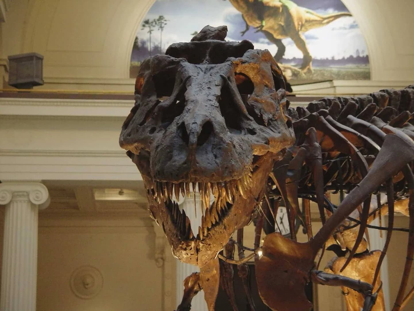 Field Museum · 2