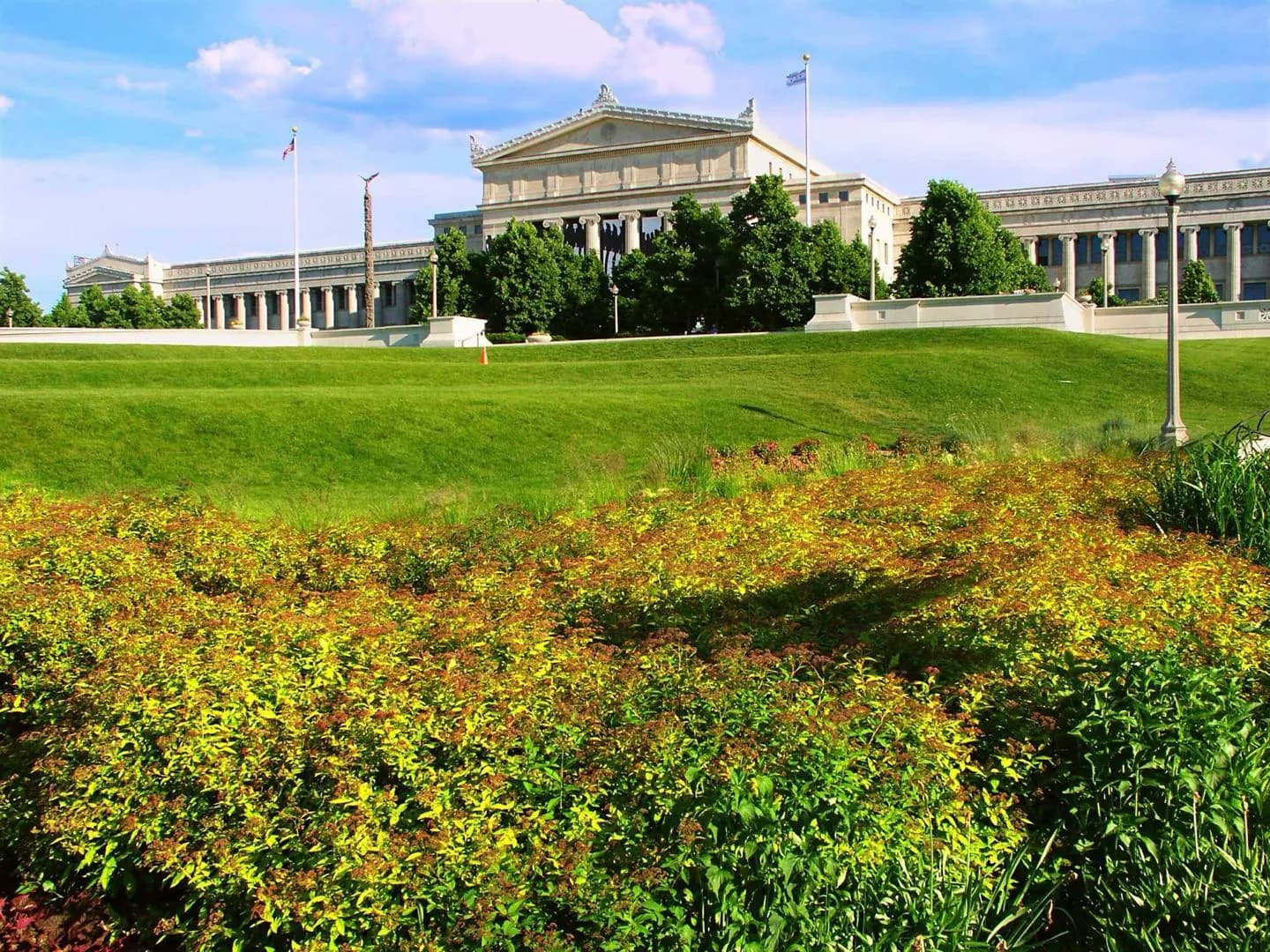 Museum Campus