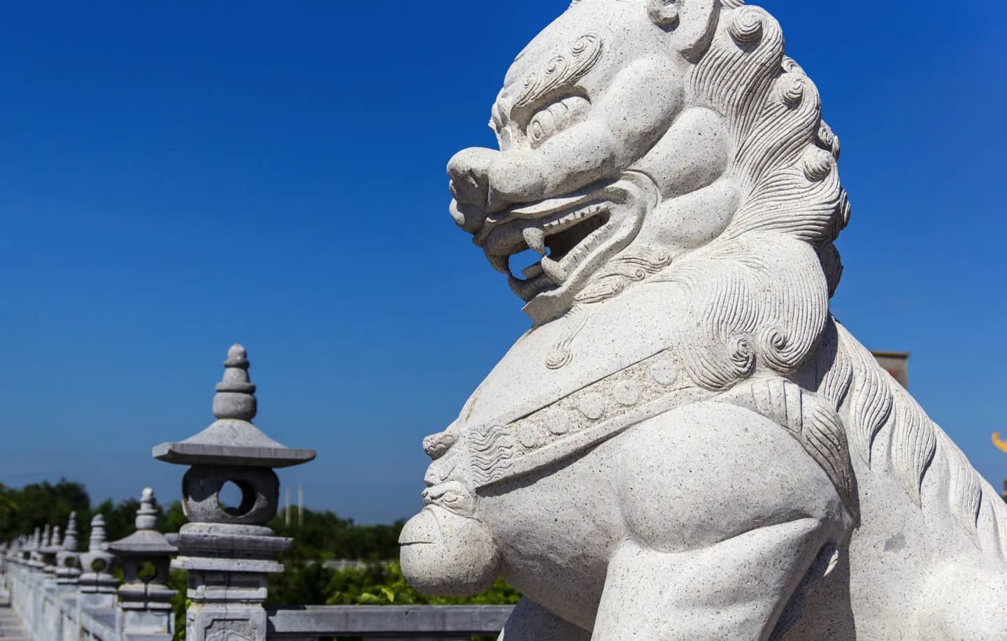 Ancient China: Shang and Zhou · 2