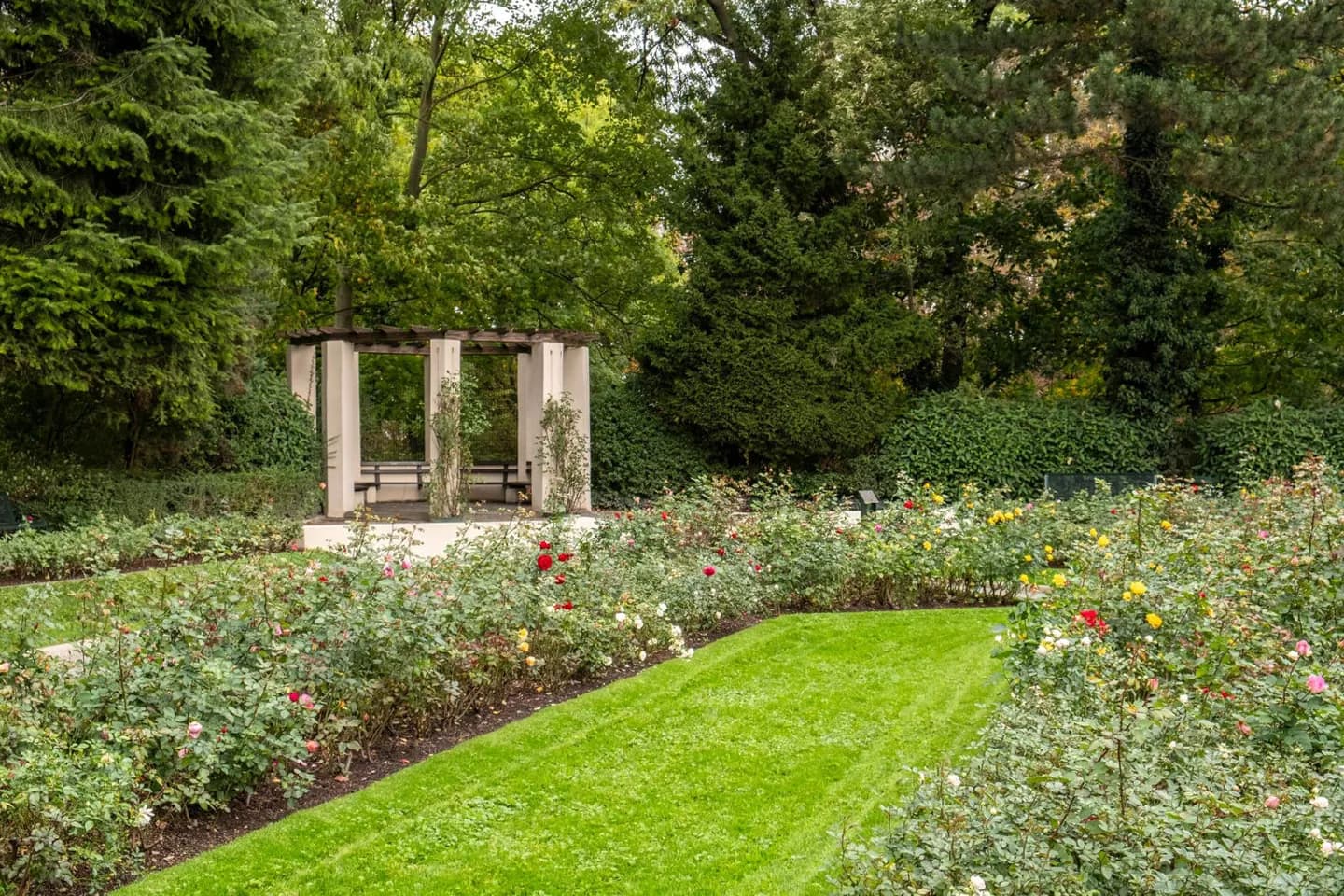 Fuerte X Jardín de las Rosas
