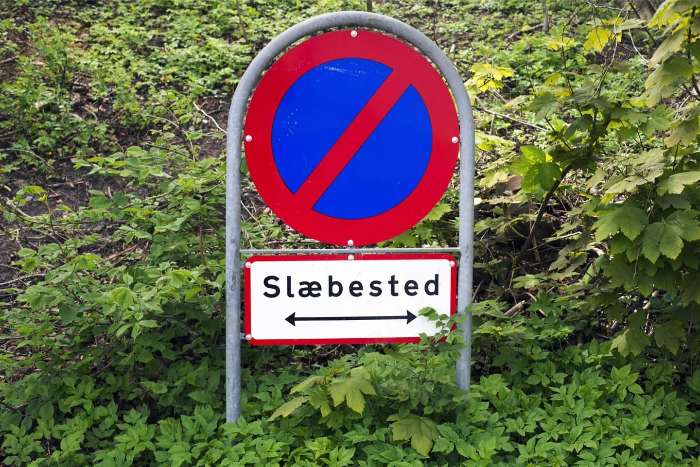 Languages of Denmark · 2