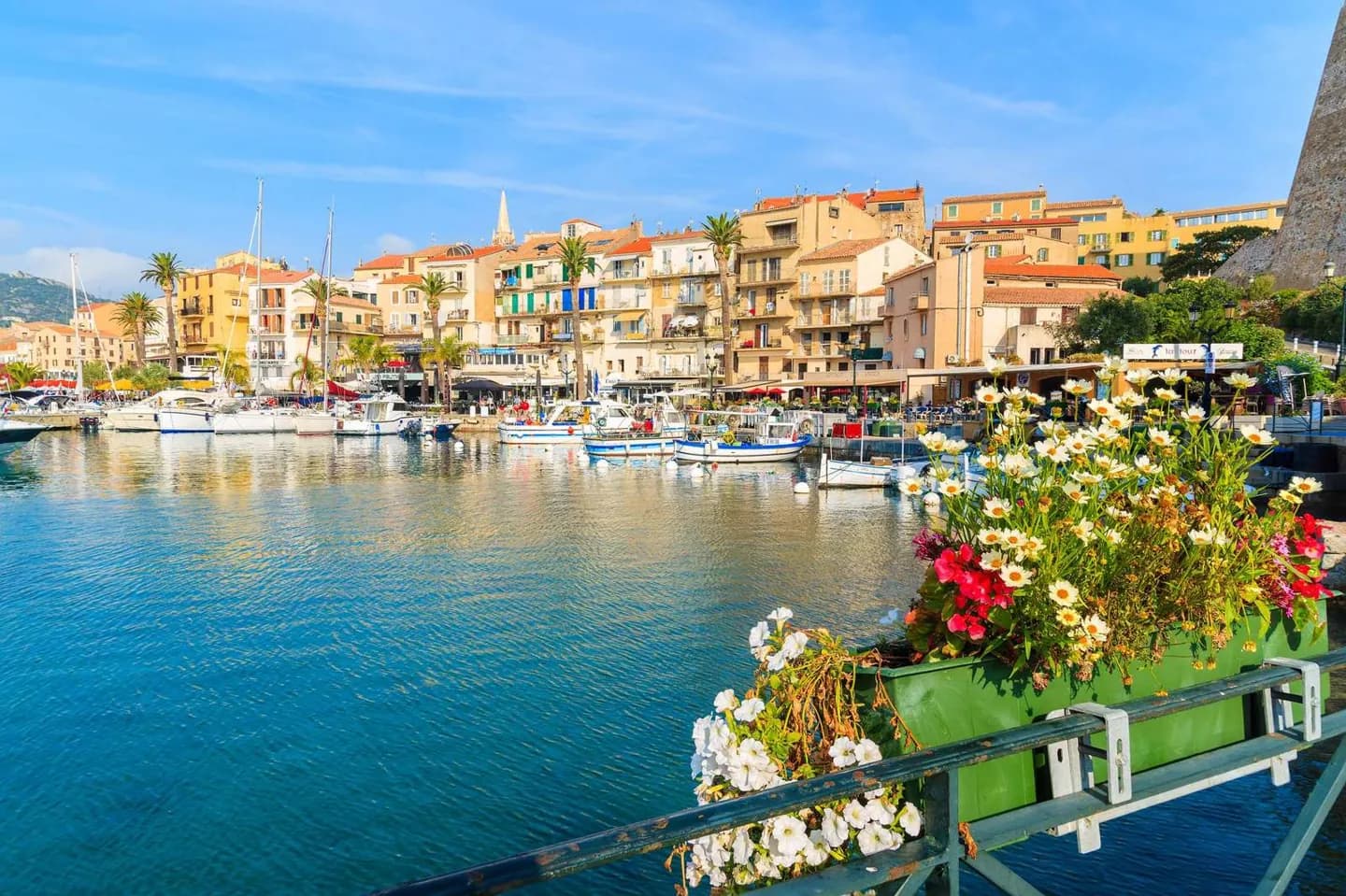 Calvi