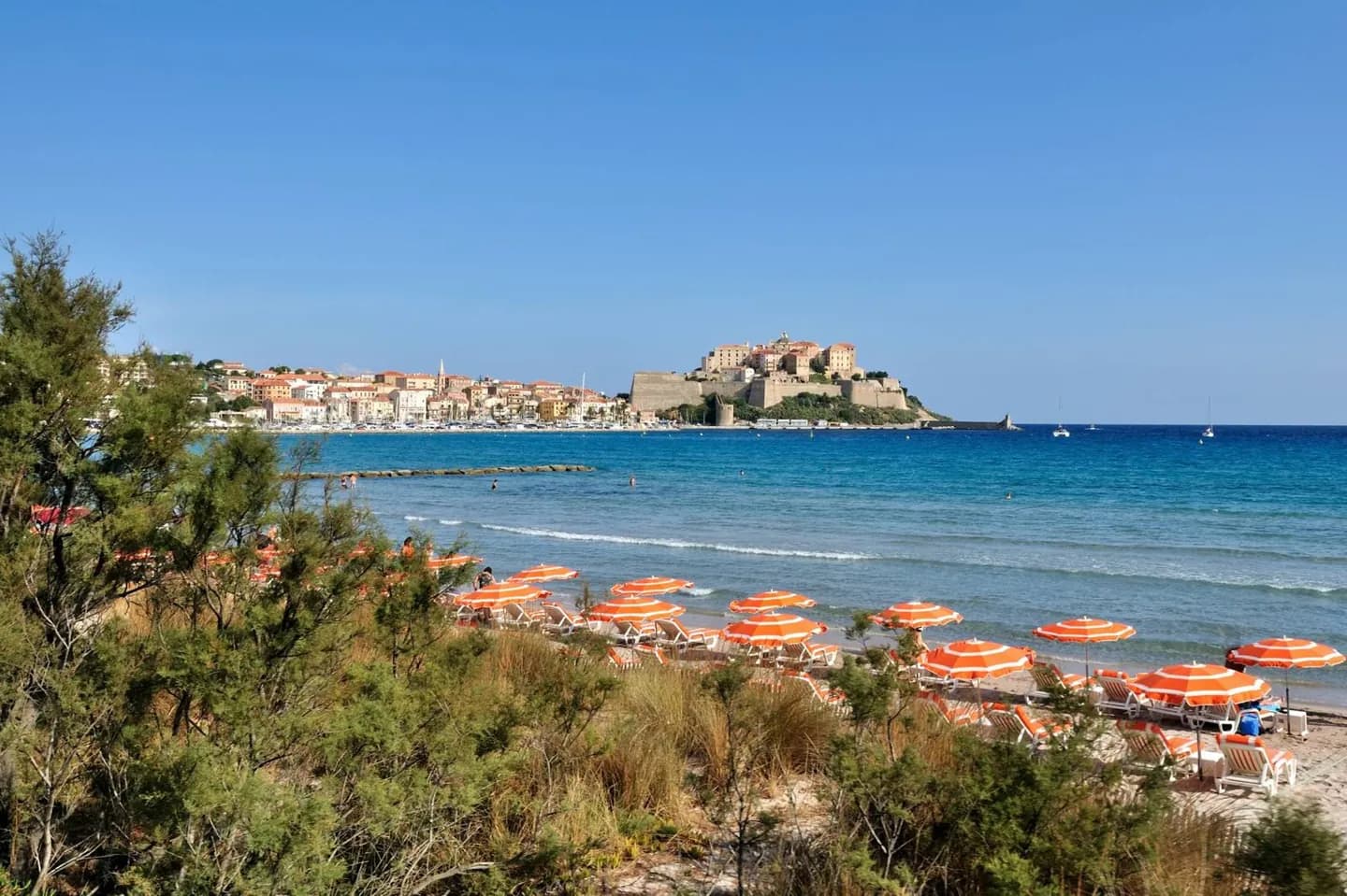 Calvi · 2