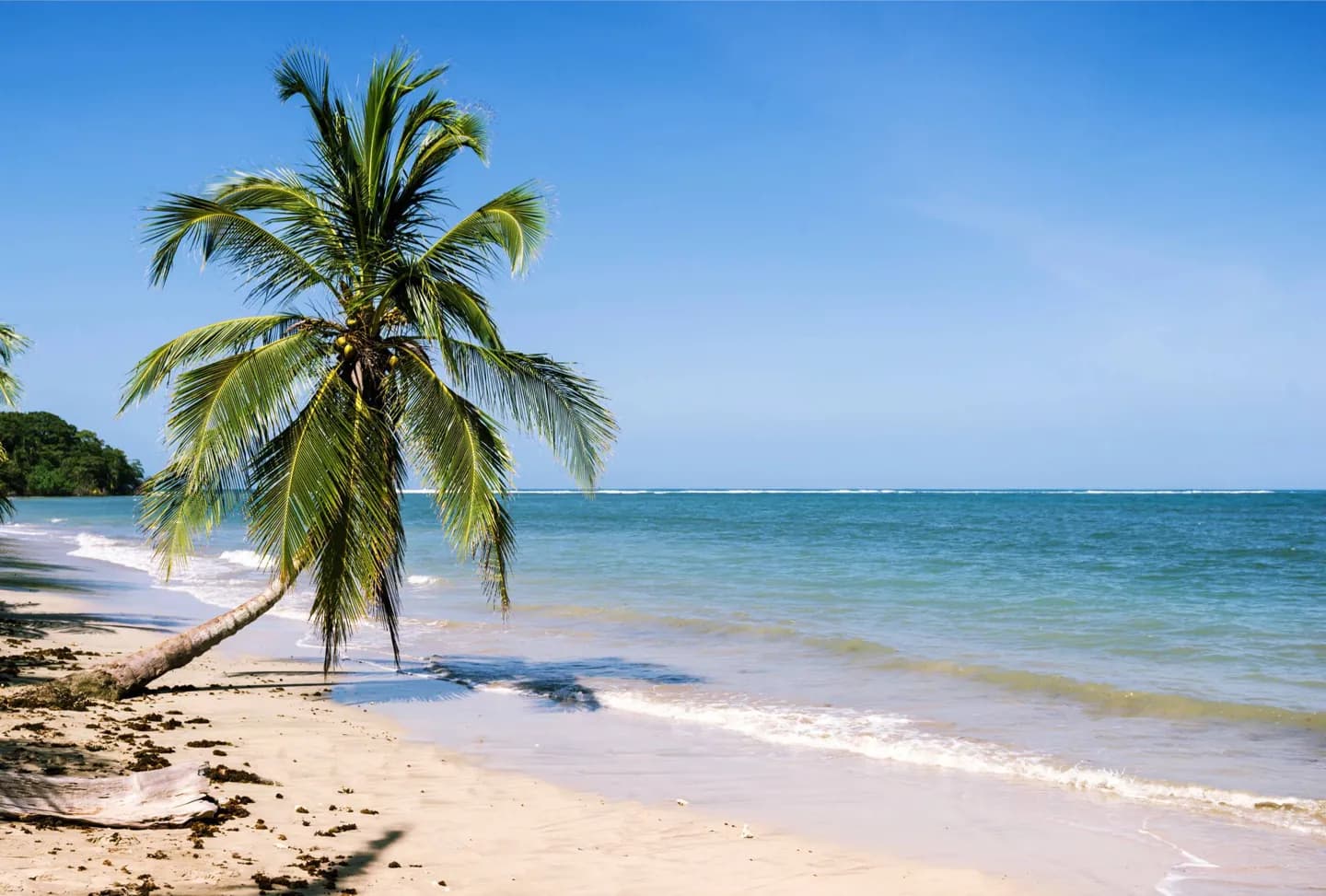 Cahuita National Park · 2