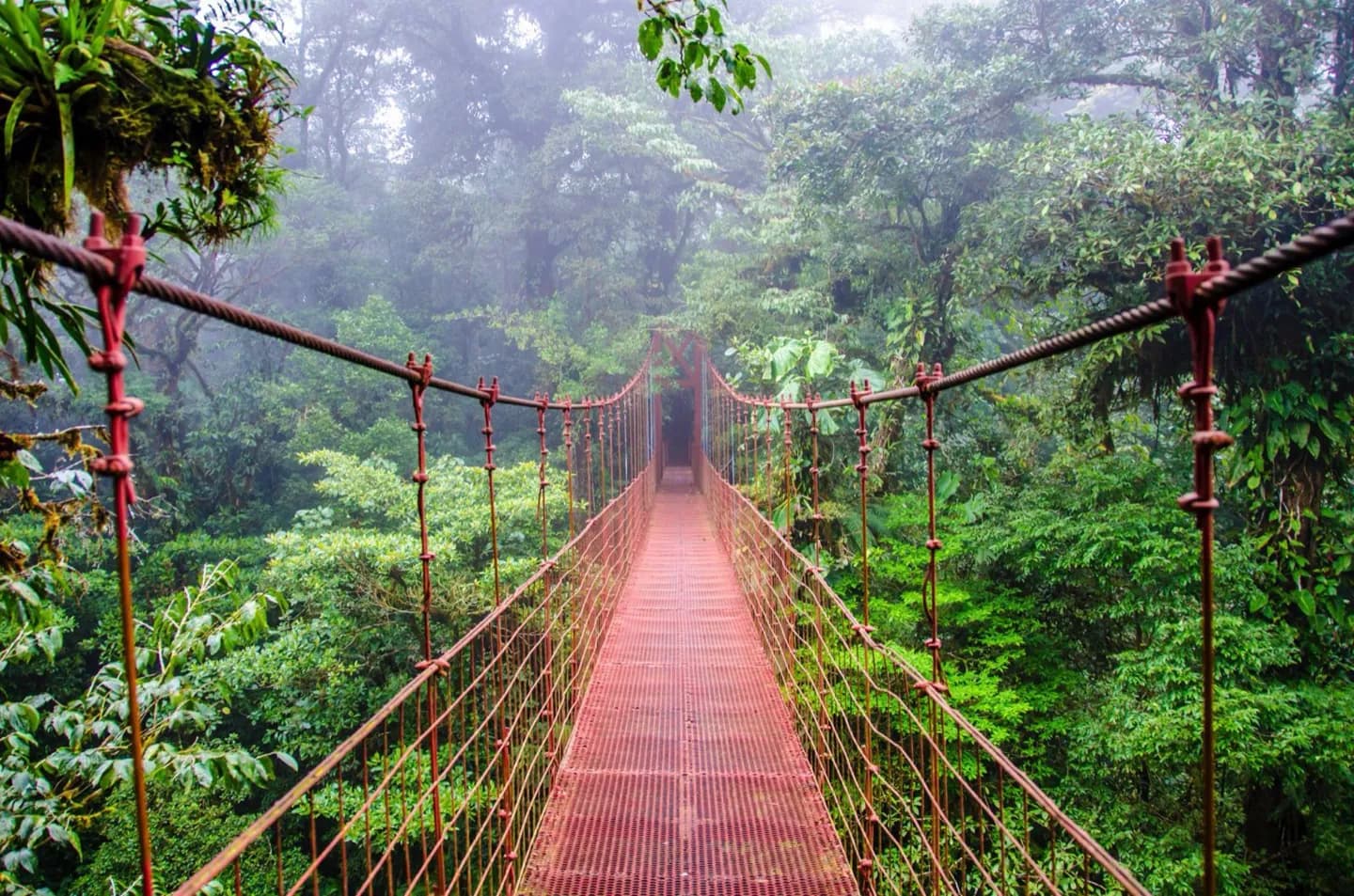 Reserva del Bosque Nubal de Monteverde