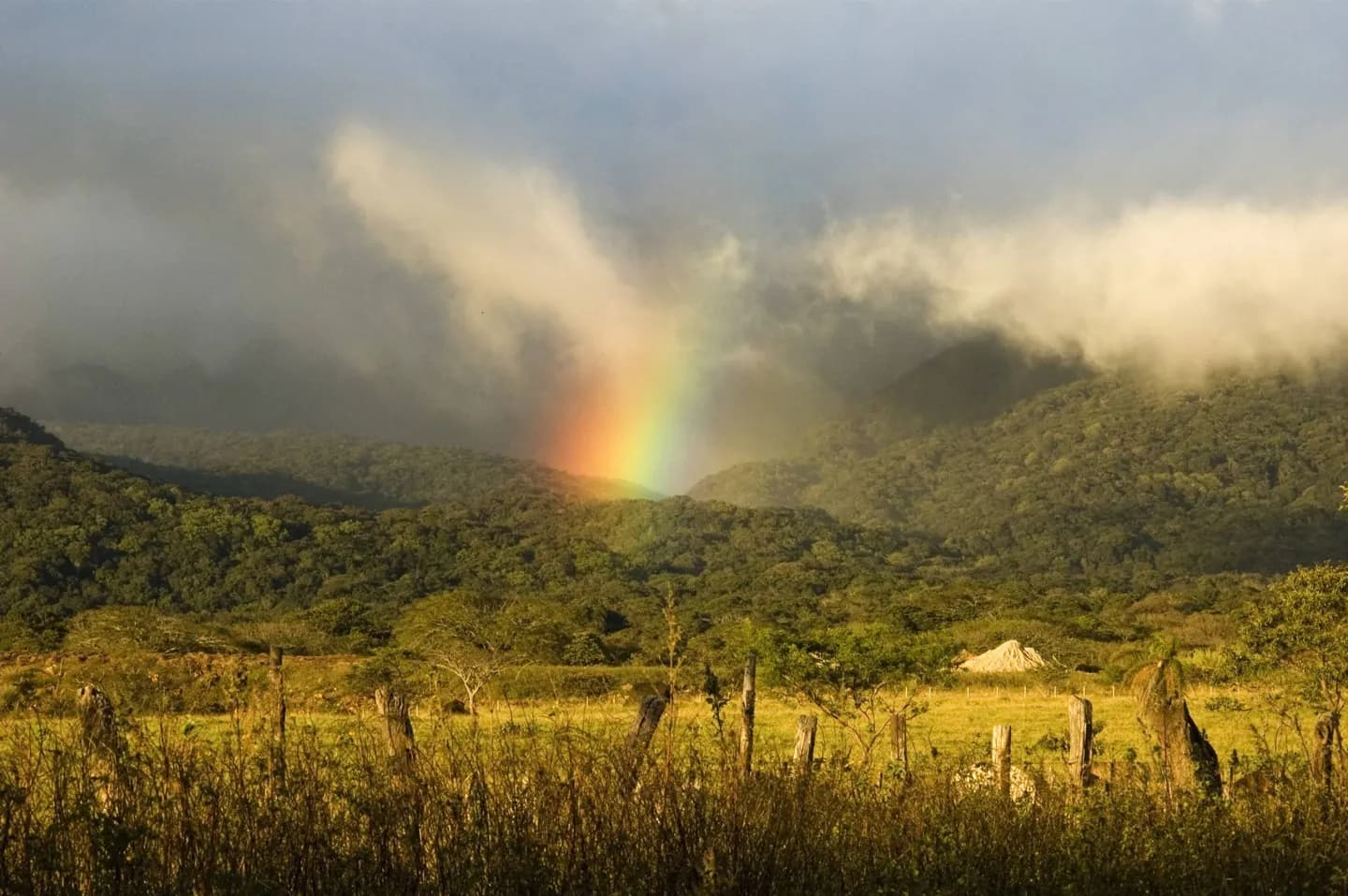 Rincón de la Vieja Nationalpark · 2