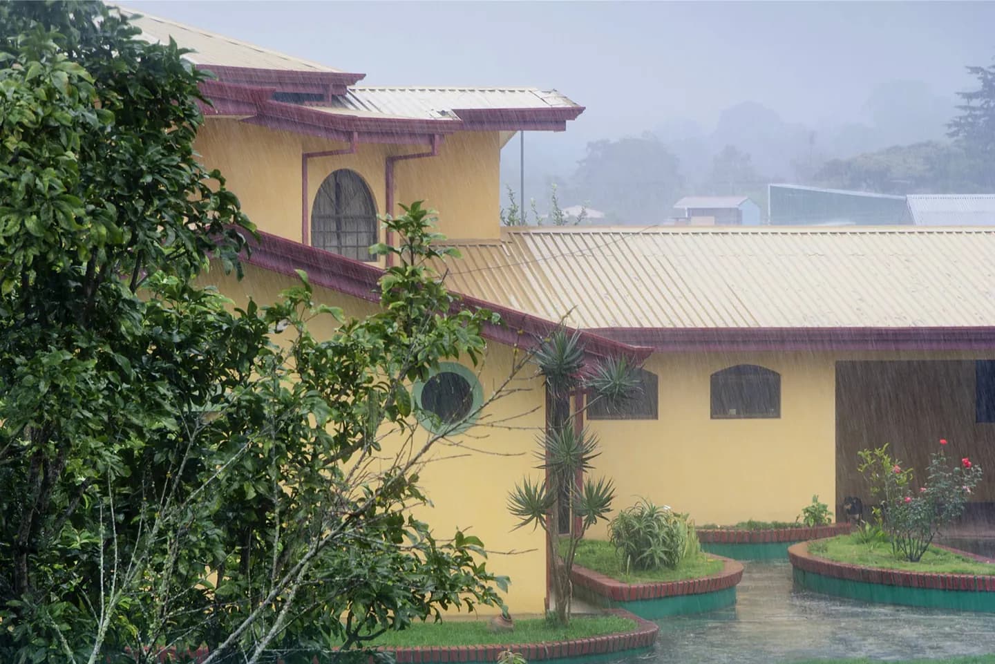 San José · 2